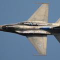 F-16_Fighting_Falcon_DSC_6097.jpg