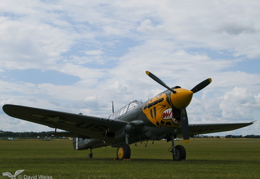 P-40