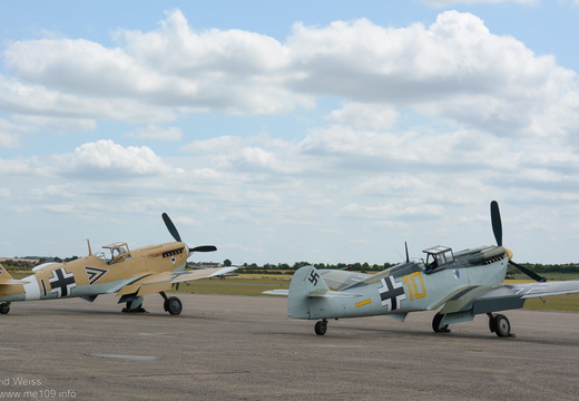 Buchon