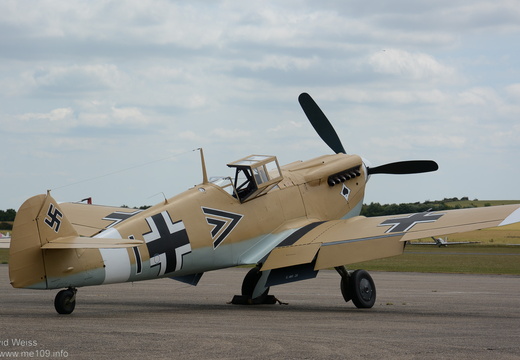 Buchon