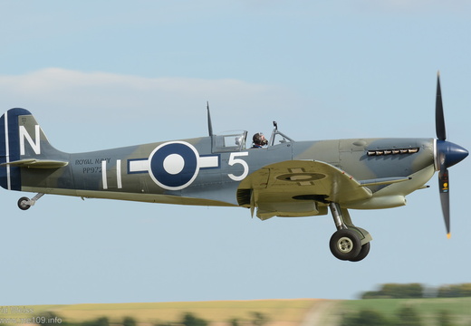 Seafire