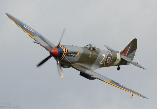 Spitfire