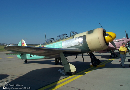 Yak-11 Moose