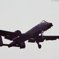 A-10_Thunderbolt_II_DSC_3079.jpg