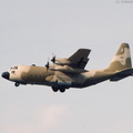 C-130_Hercules_DSC_3285.jpg