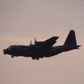 C-130_Hercules_DSC_3435.jpg