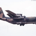 C-130_Hercules_DSC_7468.jpg