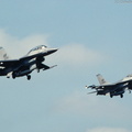 F-16B_Fighting_Falcon_DSC_3083.jpg