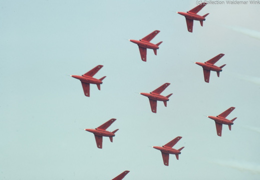 Fo. 141 Gnat