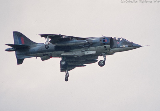 Harrier