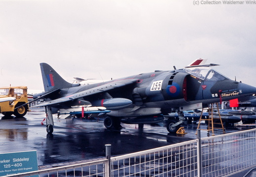 Harrier