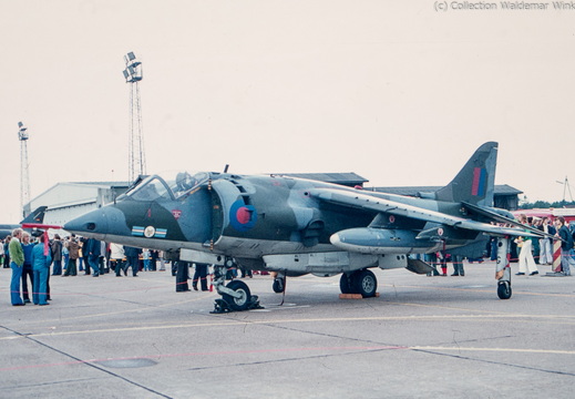Harrier