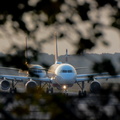 Airbus_A320_DSC_4026.jpg