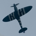 Spitfire_DSC_5625.jpg