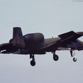 A-10_Thunderbolt_II_DSC_3113.jpg