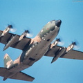 C-130_Hercules_DSC_3237.jpg