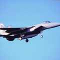 F-15A_Strike_Eagle_DSC_2878.jpg