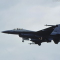 F-16A_Fighting_Falcon_DSC_1527.jpg