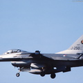 F-16A_Fighting_Falcon_DSC_7427.jpg