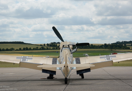 Buchon