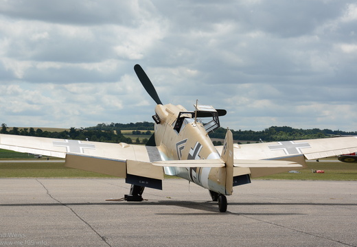 Buchon
