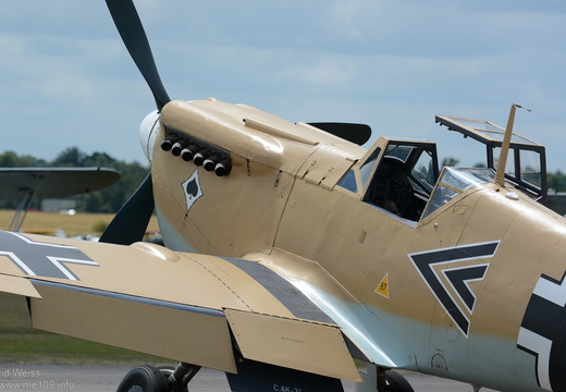 Buchon