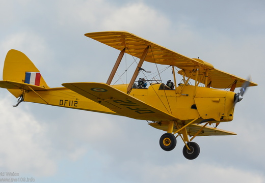 Tiger Moth