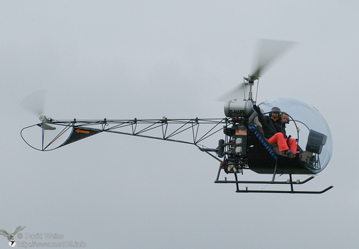Canadian Home Rotors Safari