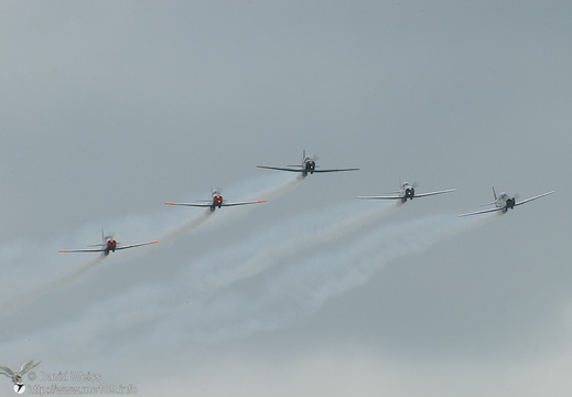 Pilatus P-3