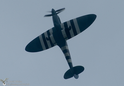 Spitfire