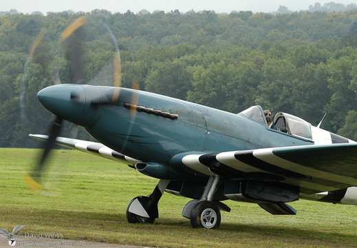 Spitfire