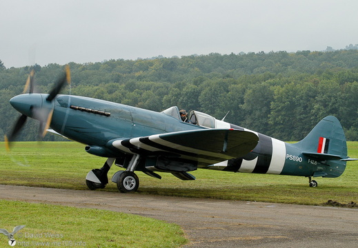 Spitfire