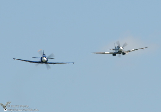 Sea Fury und Spitfire