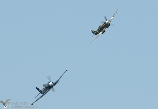 Sea Fury und Spitfire