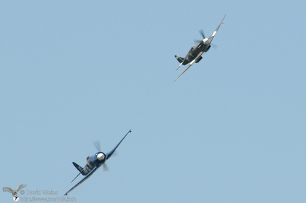 Sea Fury und Spitfire