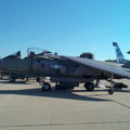 Harrier_DCP_3865.jpg