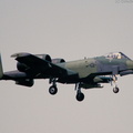 A-10_Thunderbolt_II_DSC_3109.jpg