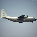 C-130_Hercules_DSC_3476.jpg