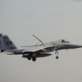 F-15A_Strike_Eagle_DSC_2881.jpg