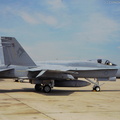 F-A-18A_Hornet_DSC_2976.jpg