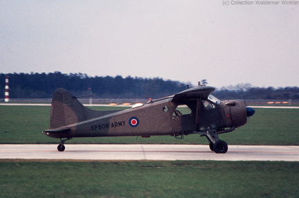 L-20 Beaver