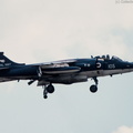Sea_Harrier_DSC_2870.jpg
