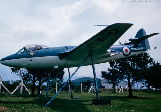 Sea Hawk