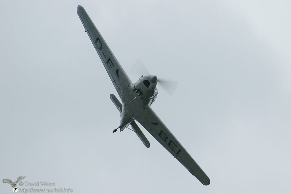 Bf_108_Taifun_DSC_5883.jpg