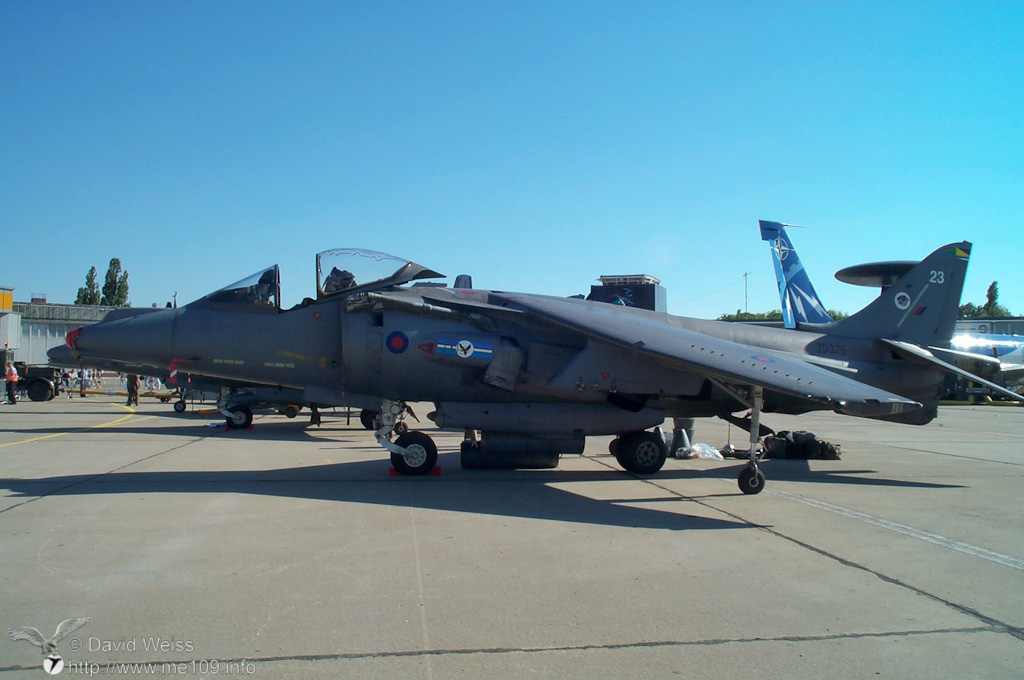 Harrier_DCP_3865.jpg
