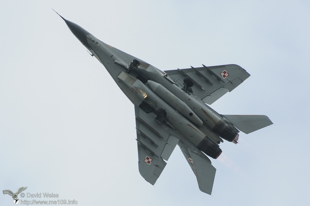 MiG_29_Fulcrum_DSC_6975.jpg