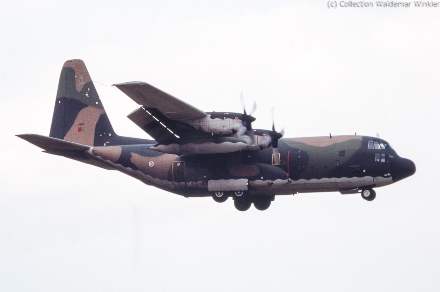 C-130_Hercules_DSC_7468.jpg