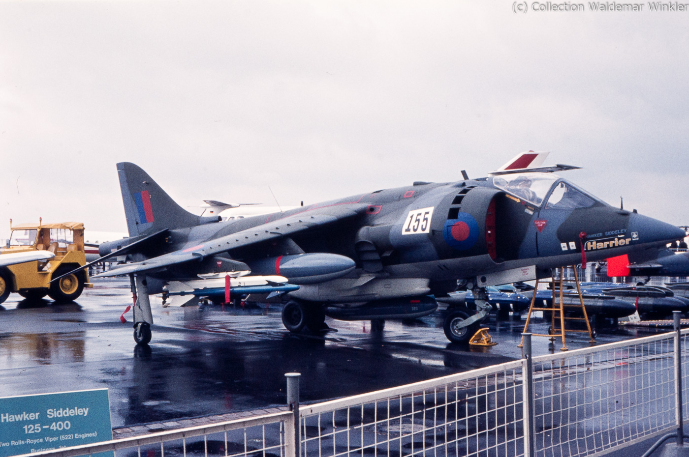 Harrier_DSC_2646.jpg