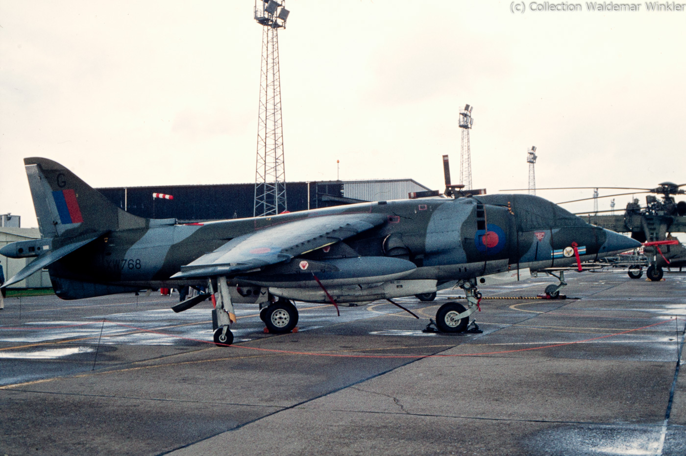 Harrier_DSC_3002.jpg