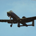 A-10_Thunderbolt_II_DSC_2966.jpg